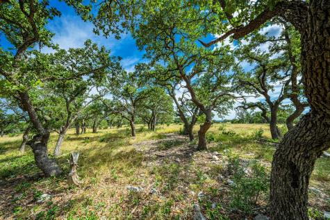 Lot 10 Cattlemans Crossing Drive Kerrville TX 78028
