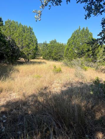 4223 Highway 173 Bandera TX 78003