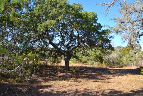 4223 Highway 173 Bandera TX 78003