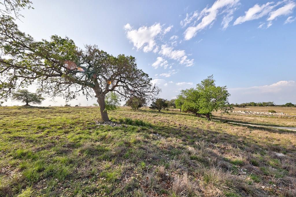 Fredericksburg TX 78624