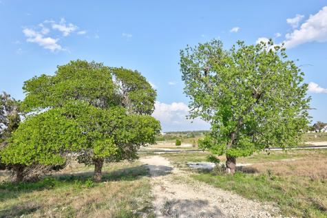 Fredericksburg TX 78624