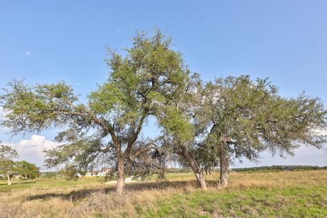 Fredericksburg TX 78624