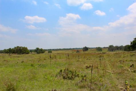 205 Nantan Lane Harper TX 78631