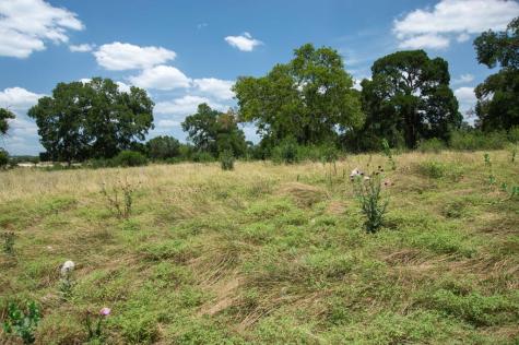 Lot 153 Mulder Drive Camp Verde TX 78010