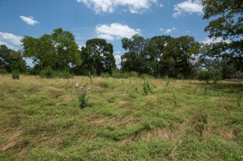 Lot 153 Mulder Drive Camp Verde TX 78010