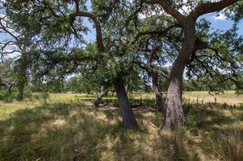 Lot 153 Mulder Drive Camp Verde TX 78010