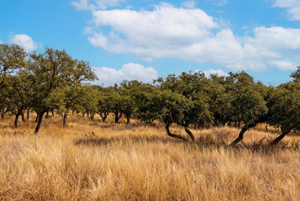 00 Caprock Ridge Drive Kerrville TX 78028