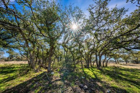 Lot 95 Pack Saddle Dr/fiedler Road Harper TX 78631