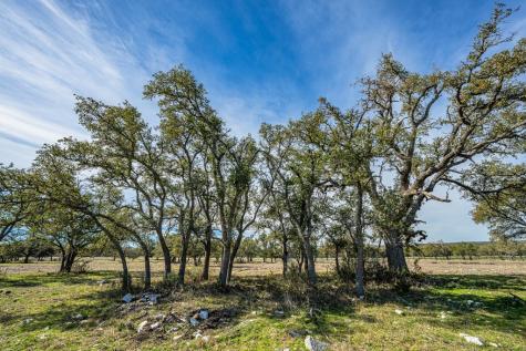 Lot 95 Pack Saddle Dr/fiedler Road Harper TX 78631