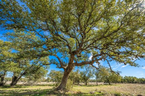Lot 95 Pack Saddle Dr/fiedler Road Harper TX 78631