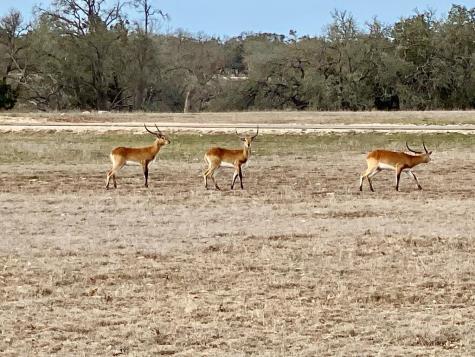 Lot 104 Oryx View Drive Harper TX 78631