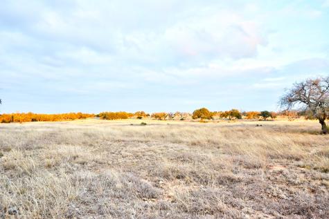 Lot 104 Oryx View Drive Harper TX 78631