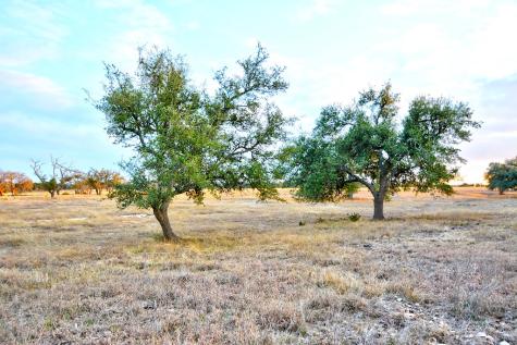 Lot 104 Oryx View Drive Harper TX 78631
