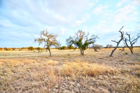 Lot 104 Oryx View Drive Harper TX 78631