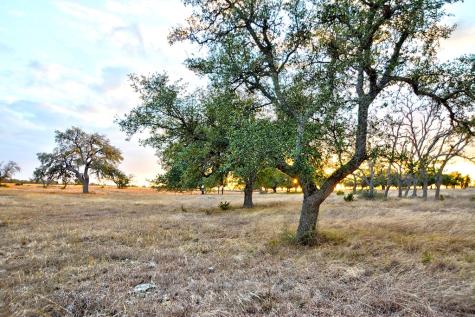 Lot 104 Oryx View Drive Harper TX 78631