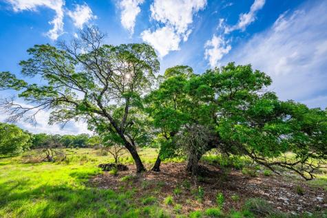180 Hermosa Hunt TX 78024