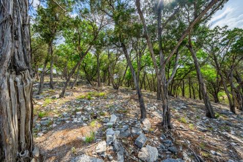 180 Hermosa Hunt TX 78024