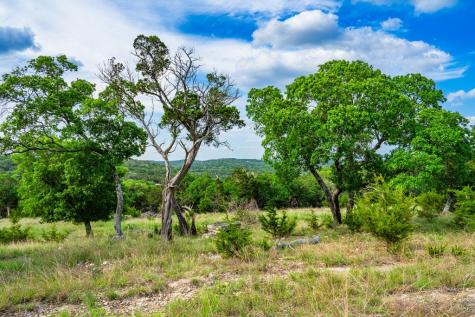 180 Hermosa Hunt TX 78024