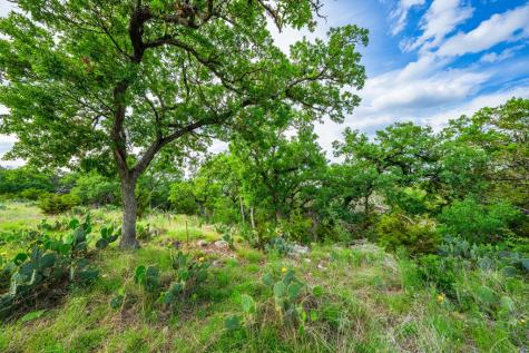 180 Hermosa Hunt TX 78024