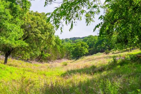 180 Hermosa Hunt TX 78024