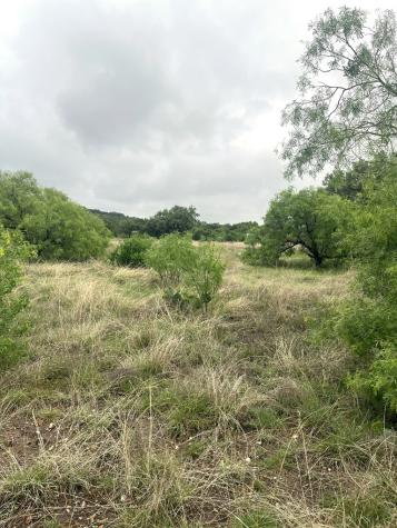35 Cardinal Drive Camp Wood TX 78833