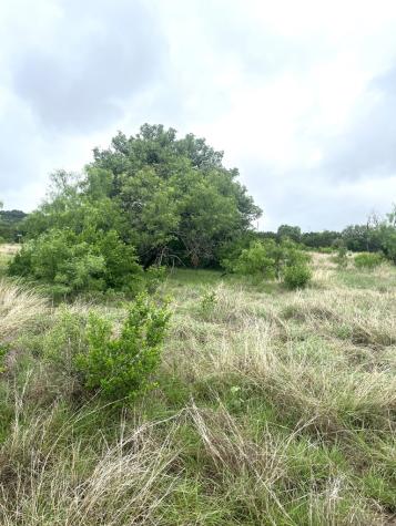 35 Cardinal Drive Camp Wood TX 78833