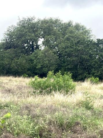 35 Cardinal Drive Camp Wood TX 78833