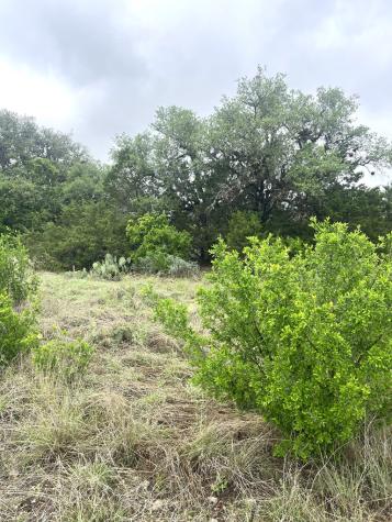 35 Cardinal Drive Camp Wood TX 78833