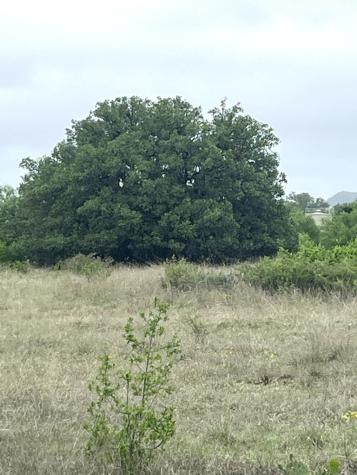35 Cardinal Drive Camp Wood TX 78833