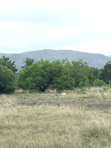35 Cardinal Drive Camp Wood TX 78833