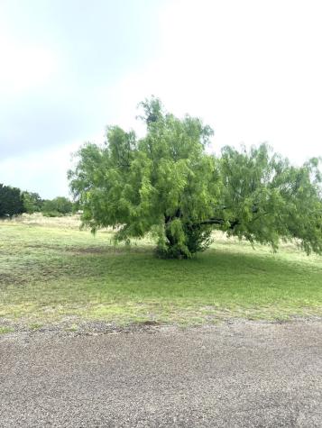 35 Cardinal Drive Camp Wood TX 78833