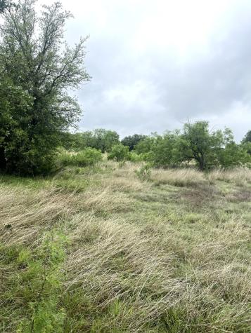 35 Cardinal Drive Camp Wood TX 78833