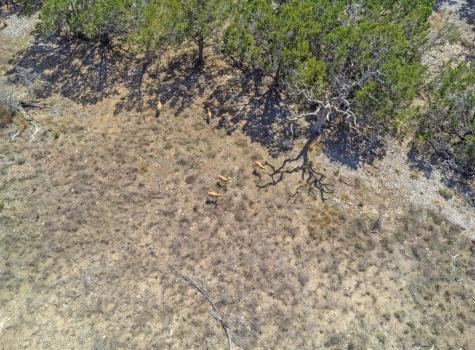 Lot 24 Seep Springs Drive Camp Verde TX 78010