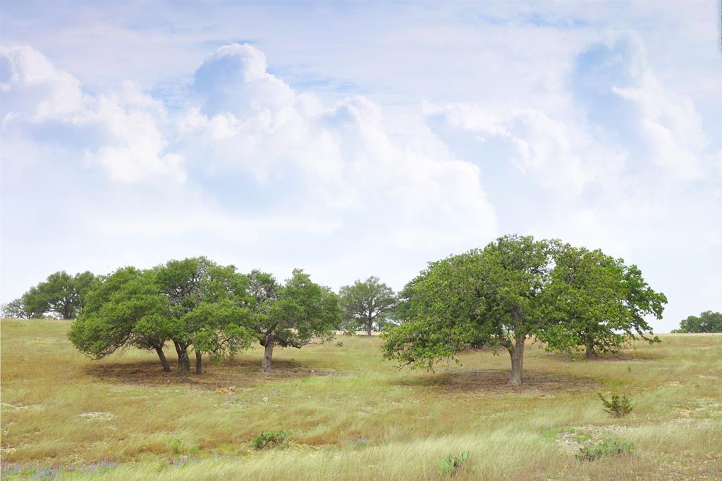Lot 47 Dillon Ridge Drive Kerrville TX 78028