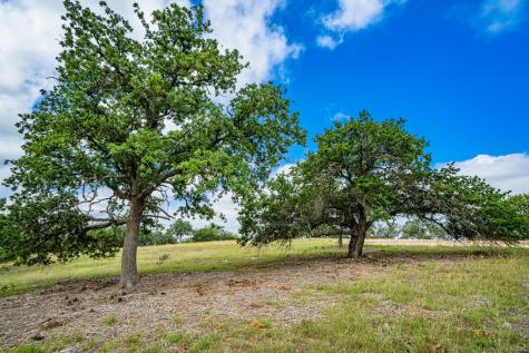 Lot 47 Dillon Ridge Drive Kerrville TX 78028