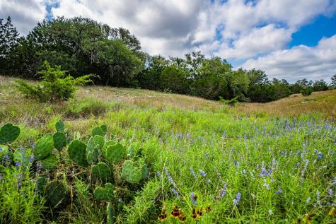 Lot 47 Dillon Ridge Drive Kerrville TX 78028
