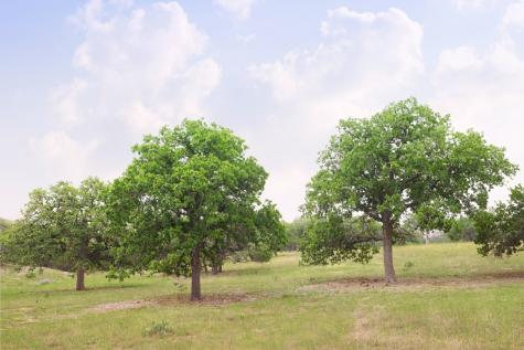Lot 47 Dillon Ridge Drive Kerrville TX 78028