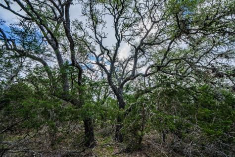 Lot 47 Dillon Ridge Drive Kerrville TX 78028