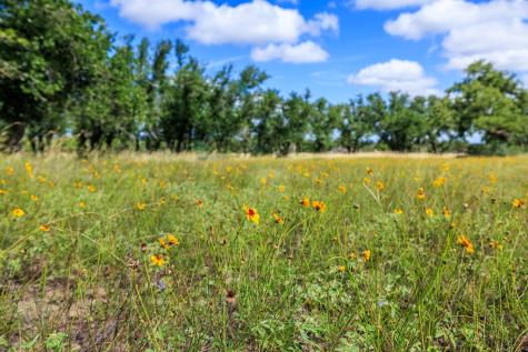 Lot 94 Stock Pond Drive Harper TX 78624