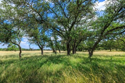 Lot 94 Stock Pond Drive Harper TX 78624