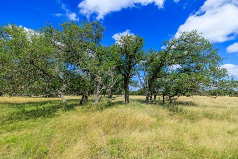 Lot 94 Stock Pond Drive Harper TX 78624