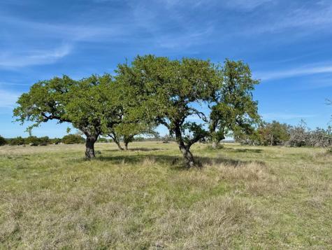Lot 85 Stock Pond Drive Harper TX 78631