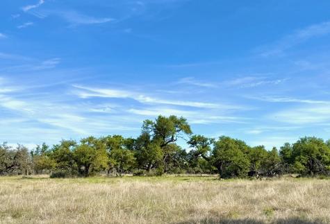 Lot 85 Stock Pond Drive Harper TX 78631