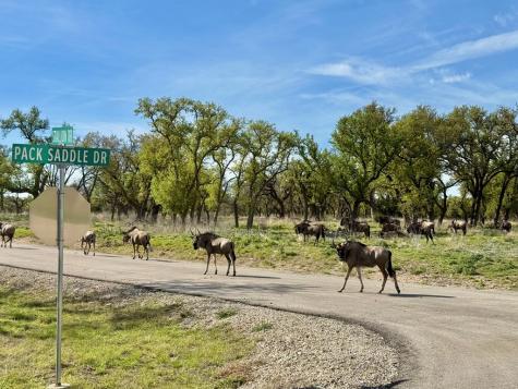 Lot 85 Stock Pond Drive Harper TX 78631
