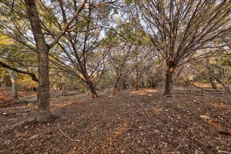 157 Cedar Cliff Loop Hunt TX 78024