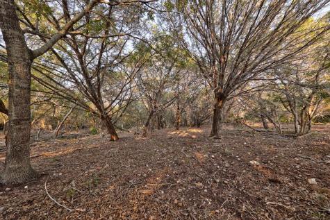 157 Cedar Cliff Loop Hunt TX 78024