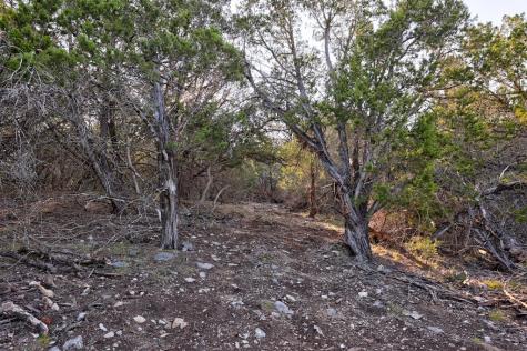 157 Cedar Cliff Loop Hunt TX 78024