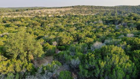 157 Cedar Cliff Loop Hunt TX 78024