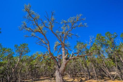 Lot 50 Cool Creek Road Camp Verde TX 78010