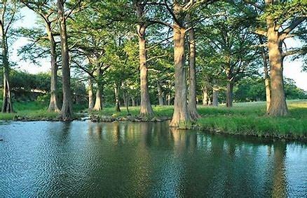 Lot 50 Cool Creek Road Camp Verde TX 78010